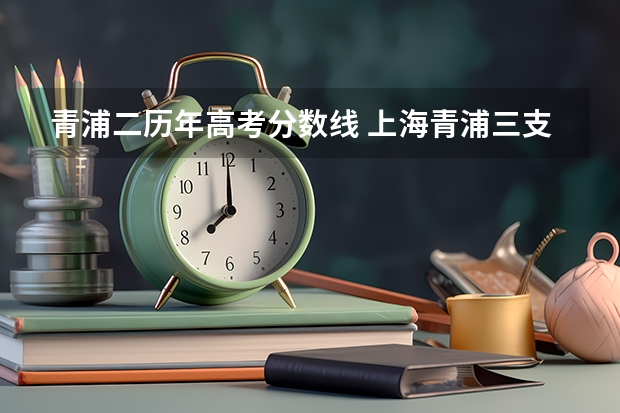 青浦二历年高考分数线 上海青浦三支一扶分数线