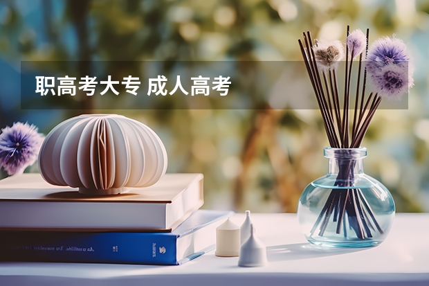 职高考大专 成人高考
