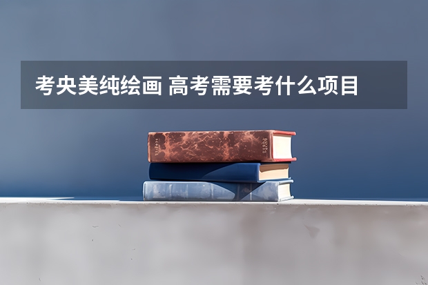 考央美纯绘画 高考需要考什么项目 其他纯绘画都考什么 像鲁美，国美 ……