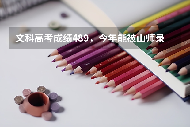 文科高考成绩489，今年能被山师录取吗编导类