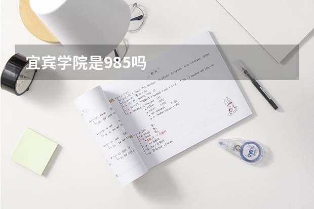 宜宾学院是985吗