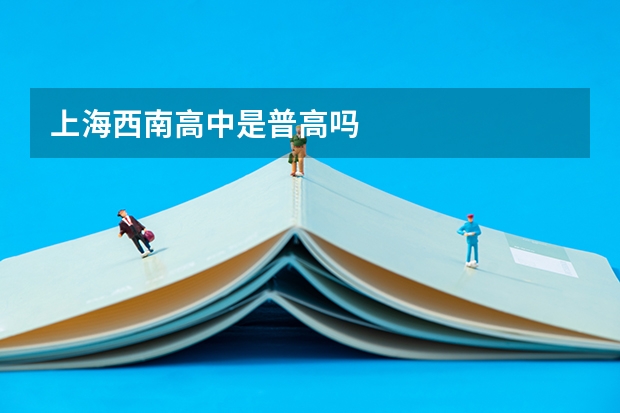 上海西南高中是普高吗