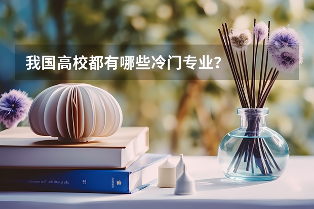 我国高校都有哪些冷门专业？