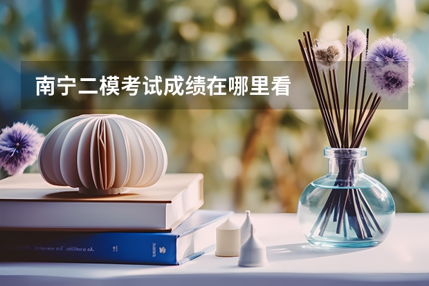 南宁二模考试成绩在哪里看