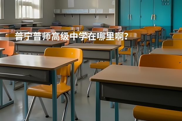 普宁普师高级中学在哪里啊？