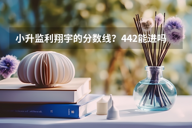 小升监利翔宇的分数线？442能进吗？