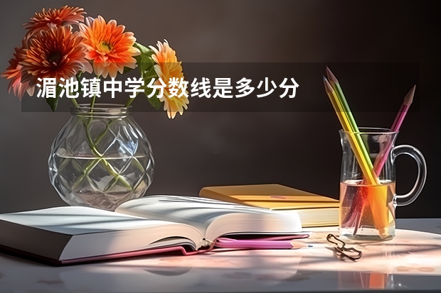 湄池镇中学分数线是多少分