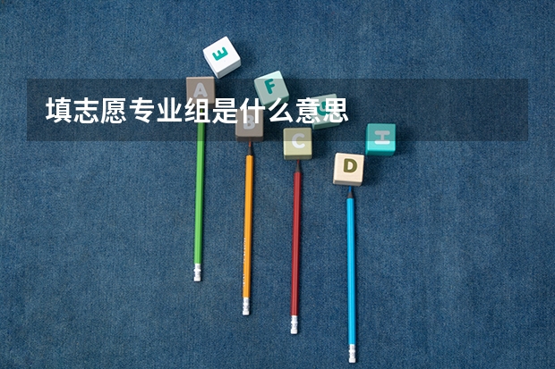 填志愿专业组是什么意思
