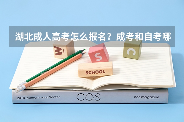 湖北成人高考怎么报名？成考和自考哪个更好？