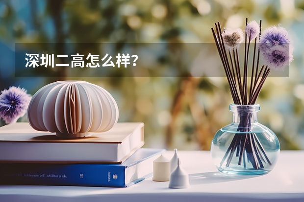 深圳二高怎么样？