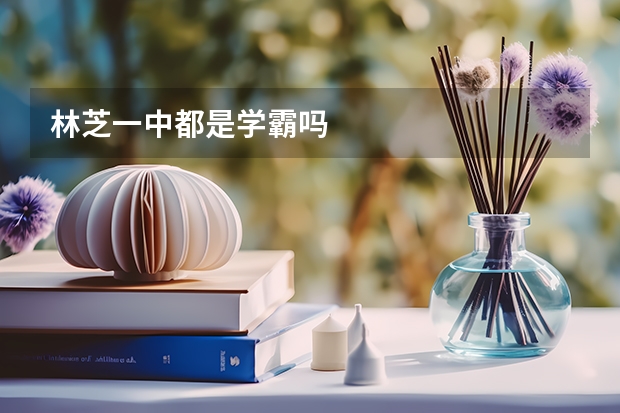 林芝一中都是学霸吗