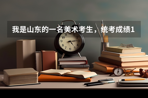 我是山东的一名美术考生，统考成绩131，文化课成绩358，能上什么样的学校较保险一些