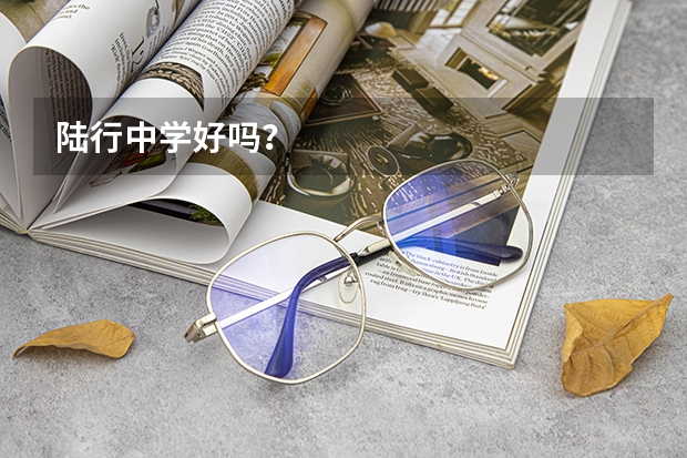 陆行中学好吗？