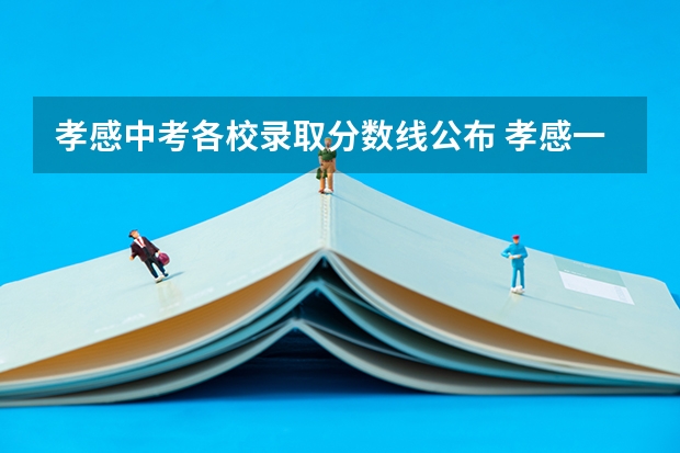 孝感中考各校录取分数线公布 孝感一中启环录取分数线？