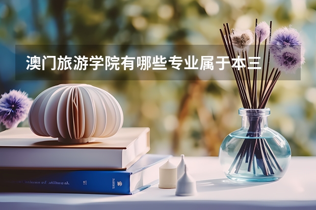 澳门旅游学院有哪些专业属于本三
