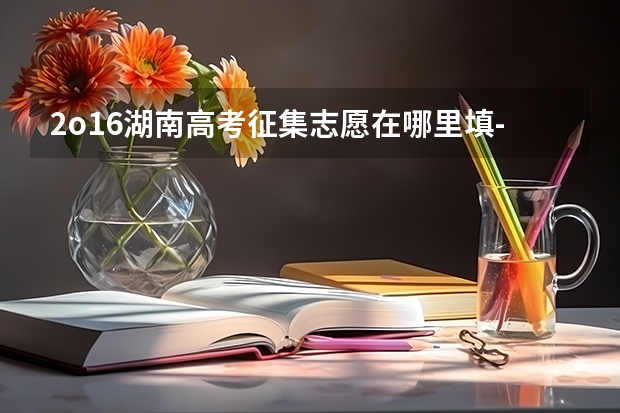 2o16湖南高考征集志愿在哪里填-