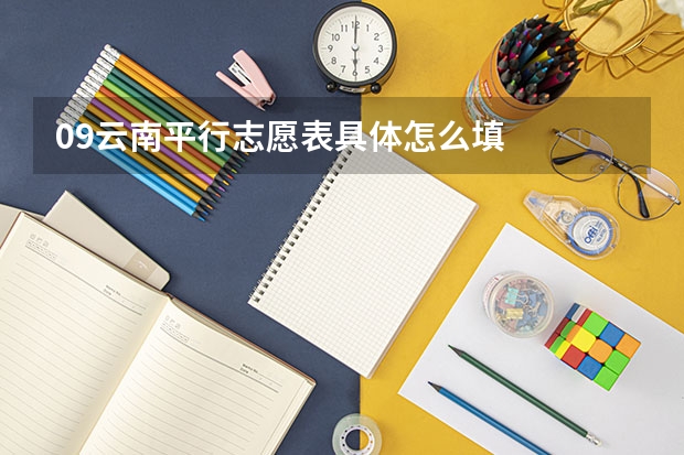09云南平行志愿表具体怎么填