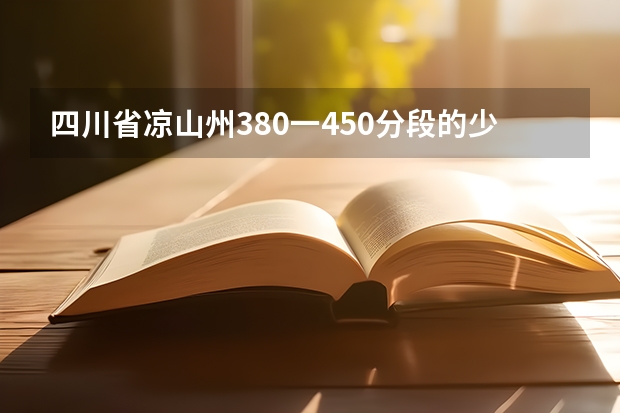 四川省凉山州380一450分段的少数民族考生有多少人？