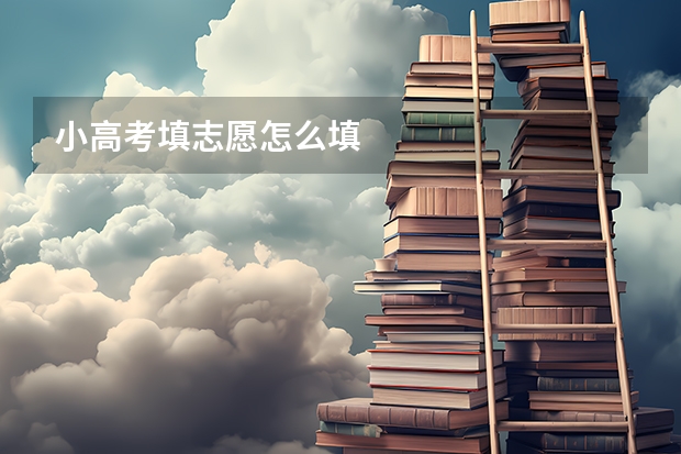 小高考填志愿怎么填
