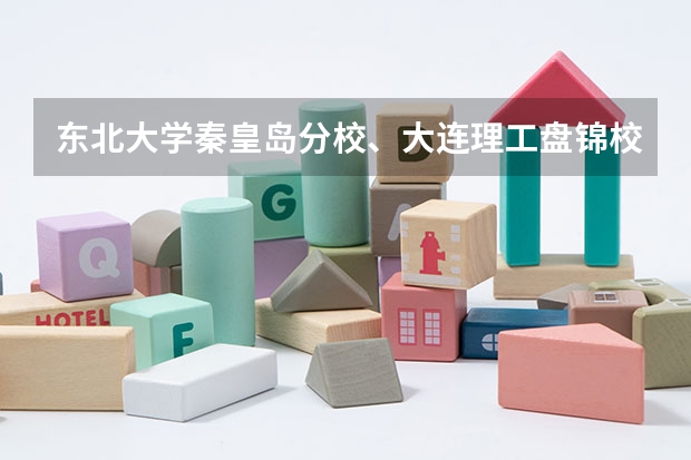 东北大学秦皇岛分校、大连理工盘锦校区和中国矿业大学（徐州）哪个比较好？