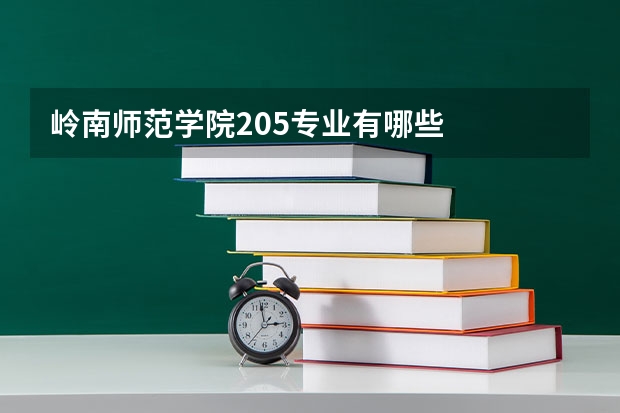 岭南师范学院205专业有哪些