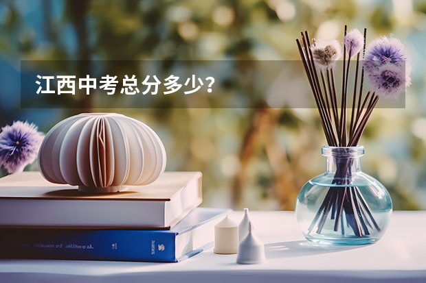 江西中考总分多少？