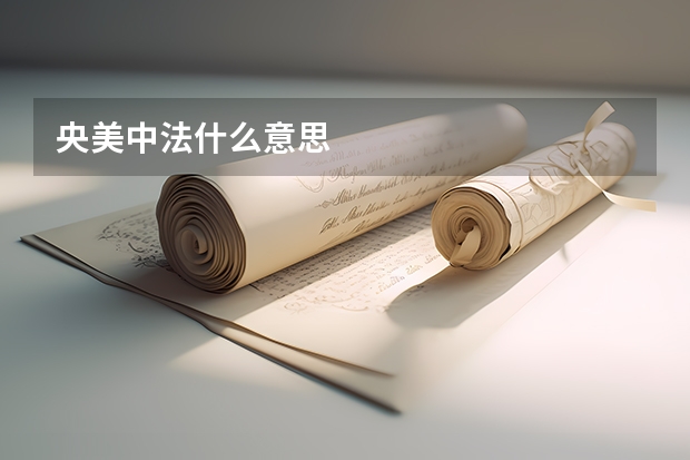 央美中法什么意思