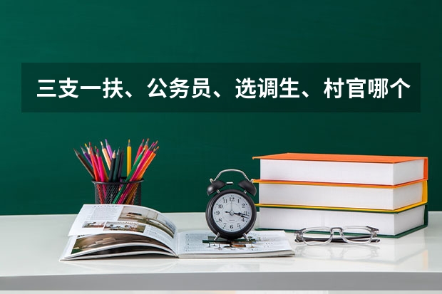 三支一扶、公务员、选调生、村官哪个待遇好？