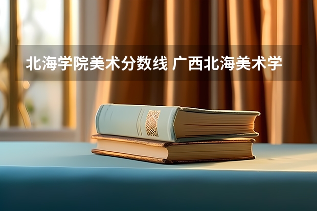 北海学院美术分数线 广西北海美术学院分数线