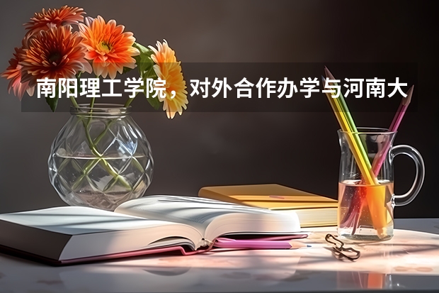 南阳理工学院，对外合作办学与河南大学民生学院哪个更好？