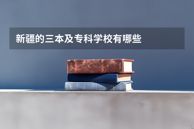 新疆的三本及专科学校有哪些