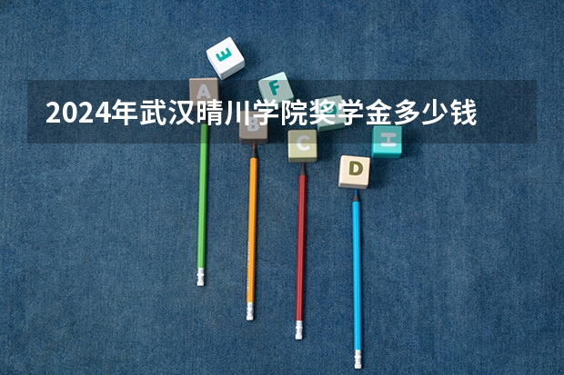 2024年武汉晴川学院奖学金多少钱