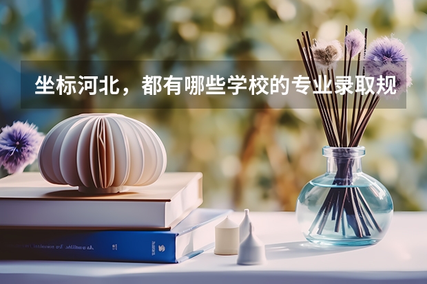 坐标河北，都有哪些学校的专业录取规则是分数优先？