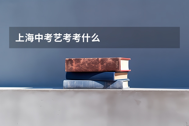 上海中考艺考考什么