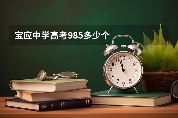 宝应中学高考985多少个