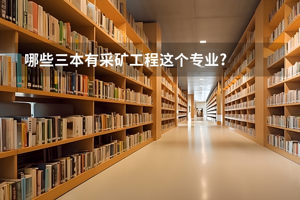 哪些三本有采矿工程这个专业?