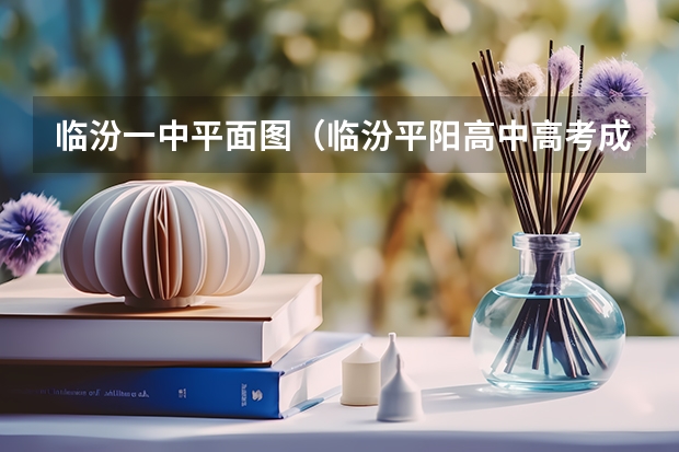 临汾一中平面图（临汾平阳高中高考成绩）