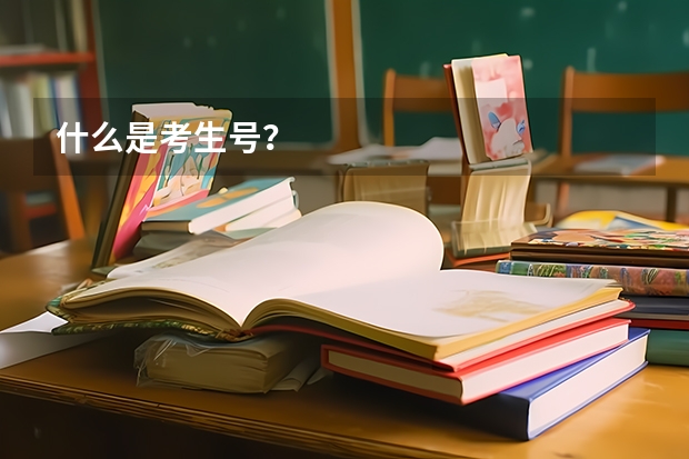 什么是考生号？