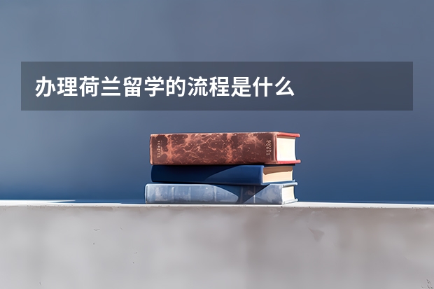 办理荷兰留学的流程是什么
