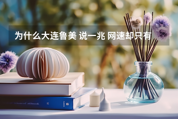 为什么大连鲁美 说一兆 网速却只有0.1兆 那么慢 ？？大学 高考
