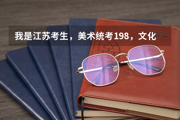 我是江苏考生，美术统考198，文化300左右，大概能上个什么学校呢？一本院校有希望吗？