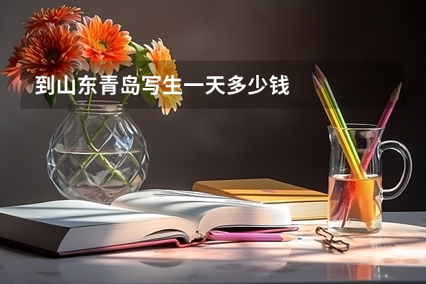到山东青岛写生一天多少钱