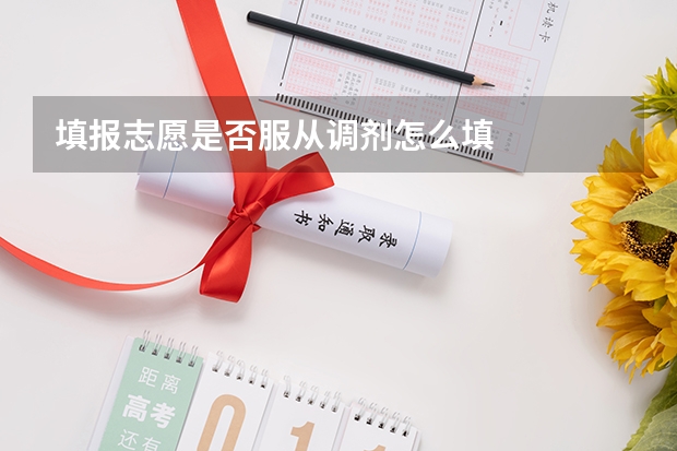 填报志愿是否服从调剂怎么填