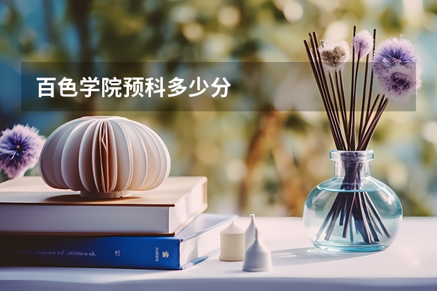 百色学院预科多少分