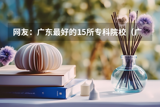 网友：广东最好的15所专科院校（广东理工学院2023分数线）