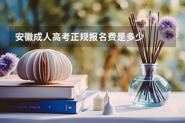 安徽成人高考正规报名费是多少