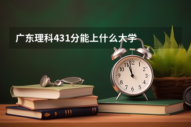 广东理科431分能上什么大学