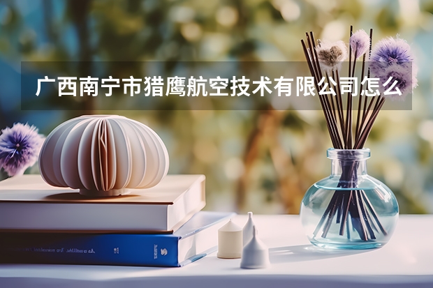 广西南宁市猎鹰航空技术有限公司怎么样？