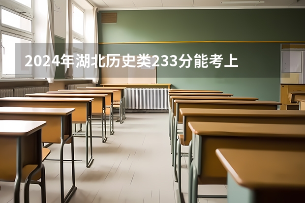 2024年湖北历史类233分能考上什么大学？