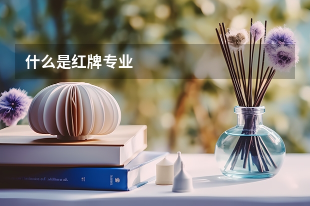 什么是红牌专业